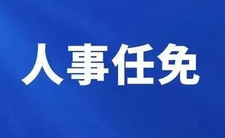 關(guān)于利騰達(dá)公司銷售總監(jiān)任命決定